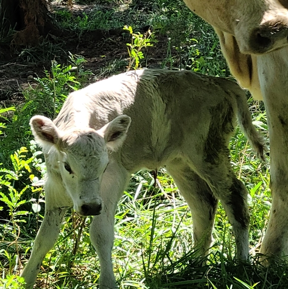 My Babies 😍❤ - Picture 4 of 13